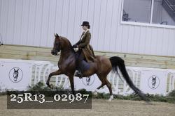 25R13_02987 thumbnail
