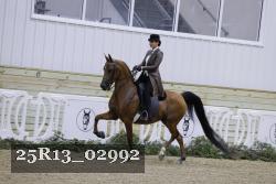 25R13_02992 thumbnail