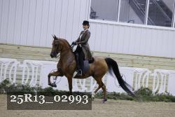 25R13_02993 thumbnail