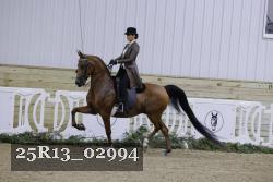 25R13_02994 thumbnail