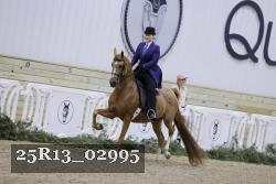 25R13_02995 thumbnail