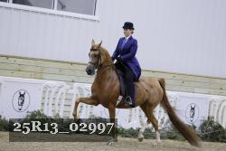 25R13_02997 thumbnail