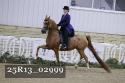 25R13_02999 thumbnail