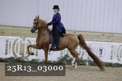 25R13_03000 thumbnail