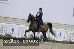 25R13_03002 thumbnail
