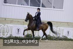 25R13_03003 thumbnail