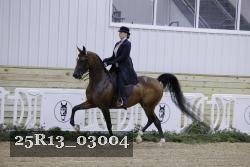 25R13_03004 thumbnail