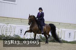 25R13_03005 thumbnail