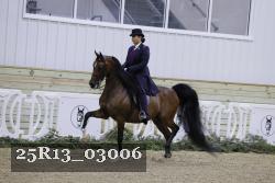25R13_03006 thumbnail