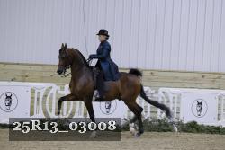 25R13_03008 thumbnail