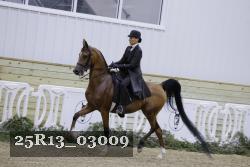 25R13_03009 thumbnail
