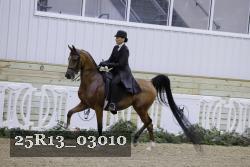 25R13_03010 thumbnail
