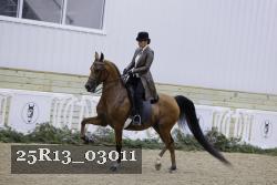 25R13_03011 thumbnail