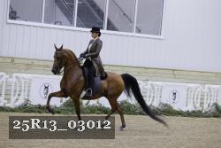 25R13_03012 thumbnail