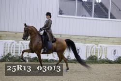 25R13_03013 thumbnail