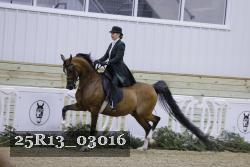 25R13_03016 thumbnail