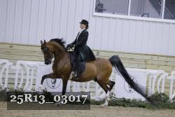 25R13_03017 thumbnail