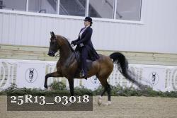 25R13_03018 thumbnail