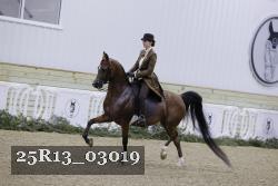 25R13_03019 thumbnail