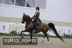 25R13_03021 thumbnail