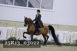 25R13_03022 thumbnail