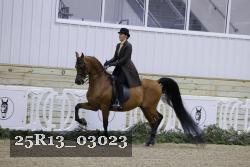 25R13_03023 thumbnail