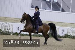25R13_03025 thumbnail