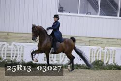 25R13_03027 thumbnail