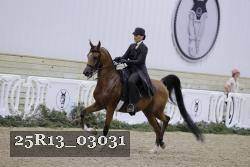 25R13_03031 thumbnail