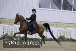 25R13_03033 thumbnail