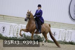 25R13_03034 thumbnail