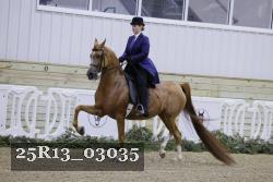25R13_03035 thumbnail
