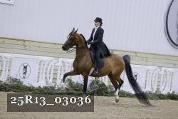 25R13_03036 thumbnail