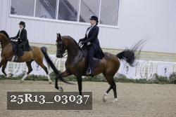 25R13_03037 thumbnail