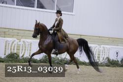 25R13_03039 thumbnail