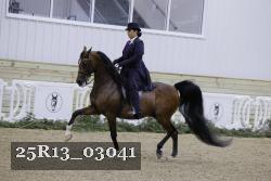 25R13_03041 thumbnail
