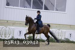 25R13_03042 thumbnail