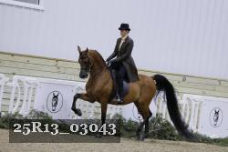 25R13_03043 thumbnail