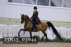 25R13_03044 thumbnail