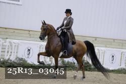 25R13_03045 thumbnail