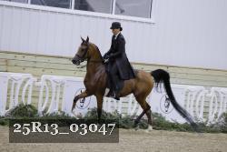 25R13_03047 thumbnail