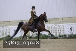 25R13_03048 thumbnail