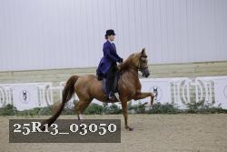 25R13_03050 thumbnail