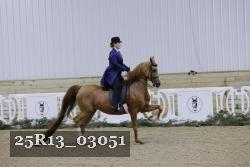 25R13_03051 thumbnail