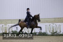 25R13_03052 thumbnail