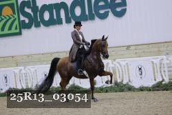 25R13_03054 thumbnail