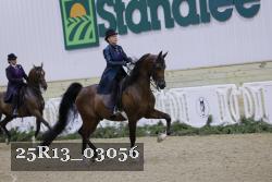 25R13_03056 thumbnail