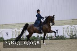 25R13_03058 thumbnail