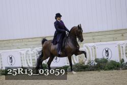 25R13_03059 thumbnail
