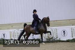 25R13_03060 thumbnail